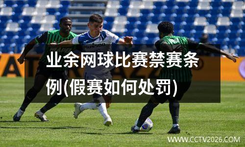 业余网球比赛禁赛条例(假赛如何处罚)