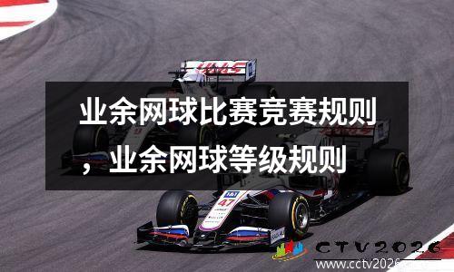 业余网球比赛竞赛规则，业余网球等级规则