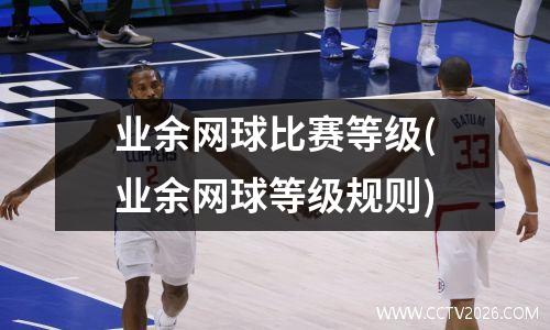 业余网球比赛等级(业余网球等级规则)