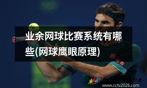 业余网球比赛系统有哪些(网球鹰眼原理)
