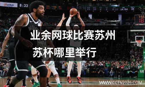 业余网球比赛苏州 苏杯哪里举行