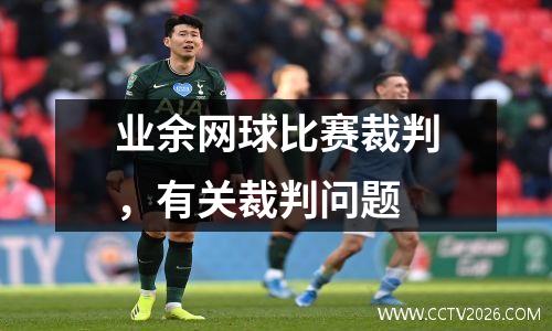 业余网球比赛裁判，有关裁判问题