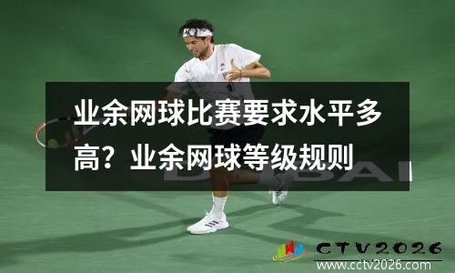 业余网球比赛要求水平多高？业余网球等级规则