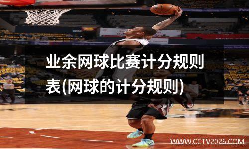 业余网球比赛计分规则表(网球的计分规则)