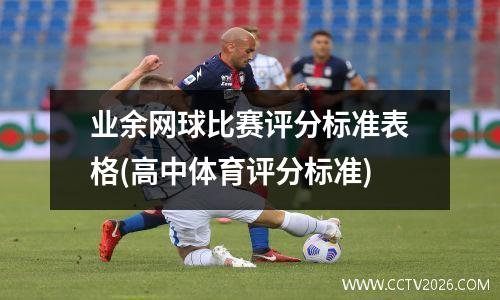业余网球比赛评分标准表格(高中体育评分标准)
