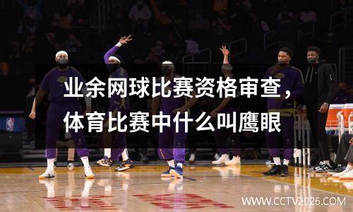 业余网球比赛资格审查，体育比赛中什么叫鹰眼