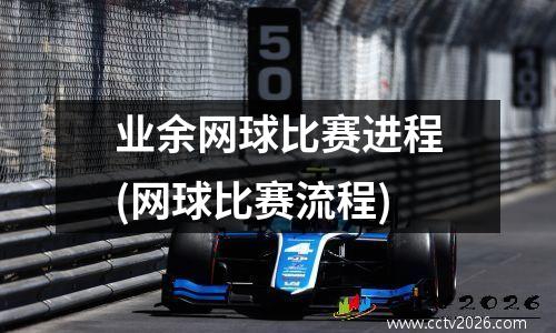 业余网球比赛进程(网球比赛流程)