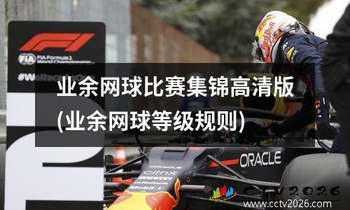 业余网球比赛集锦高清版(业余网球等级规则)