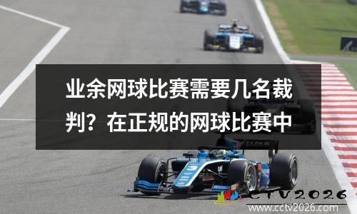 业余网球比赛需要几名裁判？在正规的网球比赛中