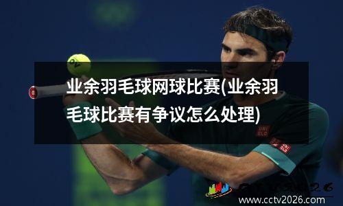 业余羽毛球网球比赛(业余羽毛球比赛有争议怎么处理)