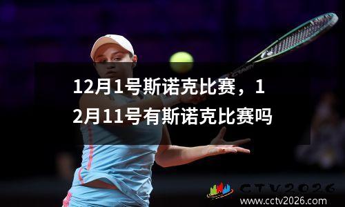 12月1号斯诺克比赛，12月11号有斯诺克比赛吗