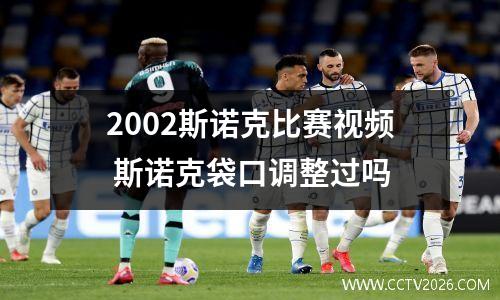 2002斯诺克比赛视频 斯诺克袋口调整过吗