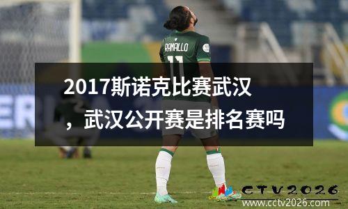 2017斯诺克比赛武汉，武汉公开赛是排名赛吗