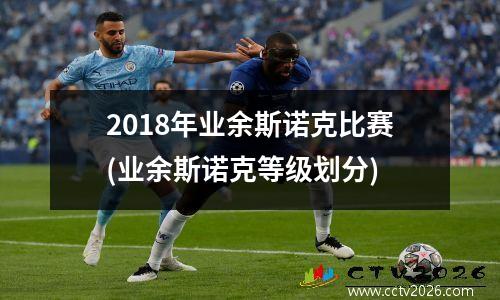 2018年业余斯诺克比赛(业余斯诺克等级划分)