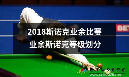 2018斯诺克业余比赛 业余斯诺克等级划分