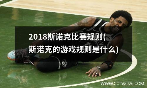 2018斯诺克比赛规则(斯诺克的游戏规则是什么)
