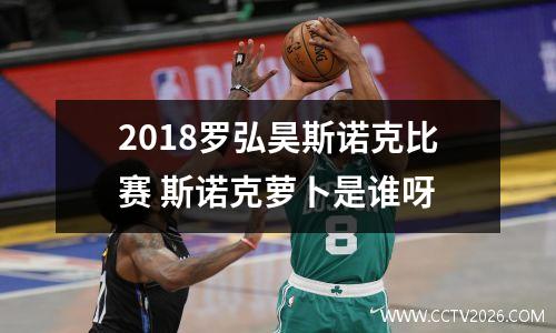 2018罗弘昊斯诺克比赛 斯诺克萝卜是谁呀