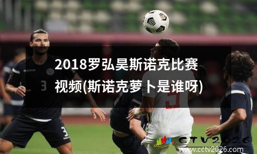 2018罗弘昊斯诺克比赛视频(斯诺克萝卜是谁呀)
