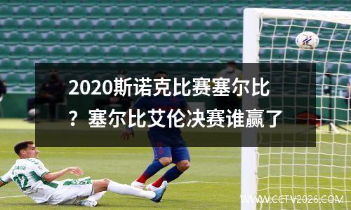 2023斯诺克比赛塞尔比？塞尔比艾伦决赛谁赢了