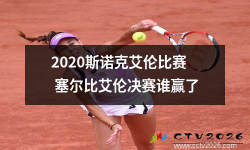 2023斯诺克艾伦比赛 塞尔比艾伦决赛谁赢了