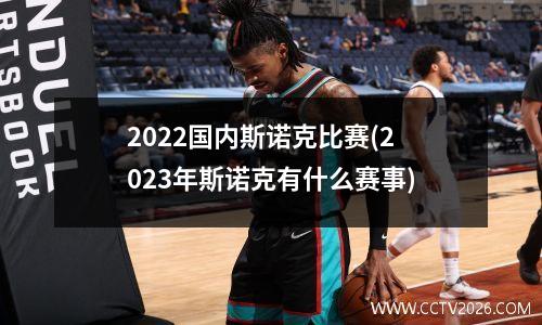 2022国内斯诺克比赛(2023年斯诺克有什么赛事)