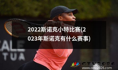 2022斯诺克小特比赛(2023年斯诺克有什么赛事)
