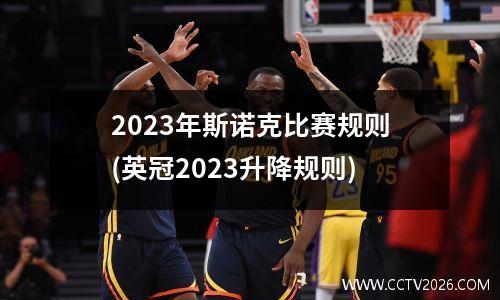 2023年斯诺克比赛规则(英冠2023升降规则)