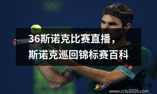36斯诺克比赛直播，斯诺克巡回锦标赛百科