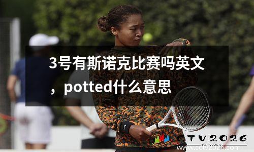 3号有斯诺克比赛吗英文，potted什么意思