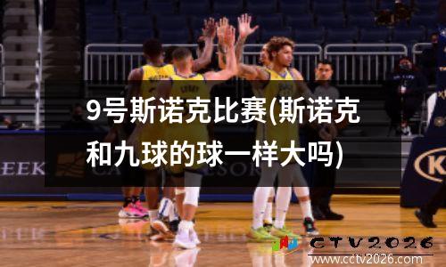 9号斯诺克比赛(斯诺克和九球的球一样大吗)
