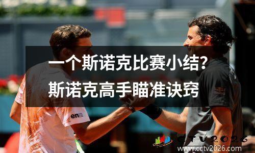 一个斯诺克比赛小结？斯诺克高手瞄准诀窍