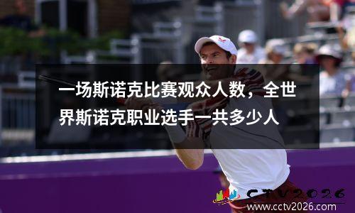 一场斯诺克比赛观众人数，全世界斯诺克职业选手一共多少人