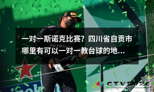 一对一斯诺克比赛？四川省自贡市哪里有可以一对一教台球的地方