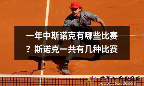 一年中斯诺克有哪些比赛？斯诺克一共有几种比赛