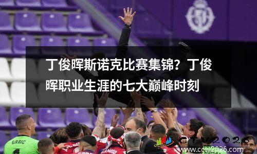 丁俊晖斯诺克比赛集锦？丁俊晖职业生涯的七大巅峰时刻