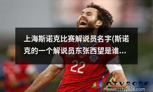 上海斯诺克比赛解说员名字(斯诺克的一个解说员东张西望是谁)