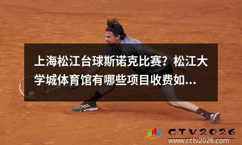 上海松江台球斯诺克比赛？松江大学城体育馆有哪些项目收费如何