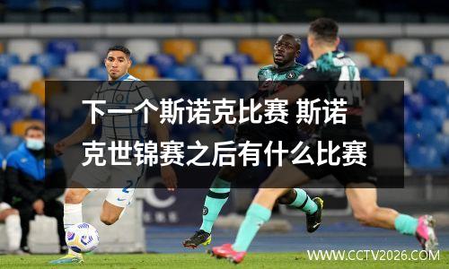 下一个斯诺克比赛 斯诺克世锦赛之后有什么比赛