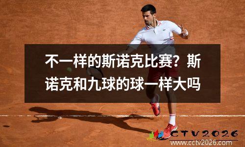 不一样的斯诺克比赛？斯诺克和九球的球一样大吗