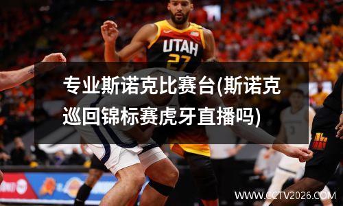 专业斯诺克比赛台(斯诺克巡回锦标赛虎牙直播吗)