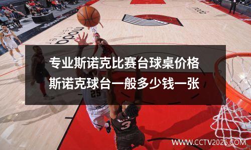 专业斯诺克比赛台球桌价格 斯诺克球台一般多少钱一张