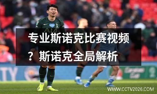 专业斯诺克比赛视频？斯诺克全局解析