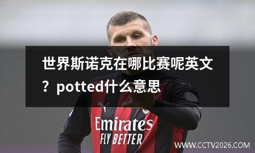 世界斯诺克在哪比赛呢英文？potted什么意思