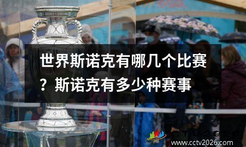 世界斯诺克有哪几个比赛？斯诺克有多少种赛事