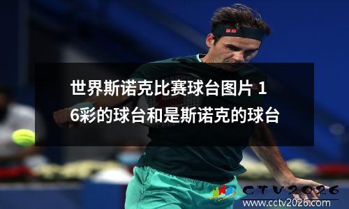世界斯诺克比赛球台图片 16彩的球台和是斯诺克的球台