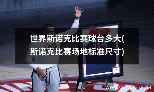 世界斯诺克比赛球台多大(斯诺克比赛场地标准尺寸)