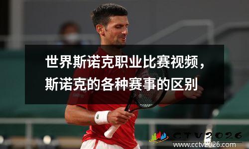 世界斯诺克职业比赛视频，斯诺克的各种赛事的区别