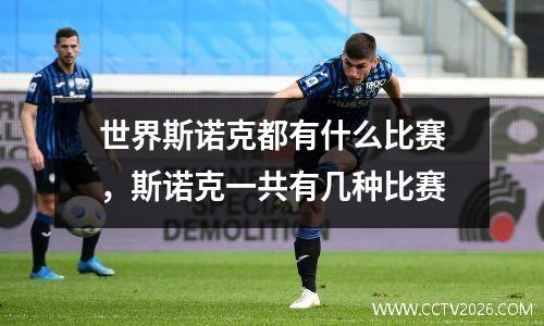世界斯诺克都有什么比赛，斯诺克一共有几种比赛