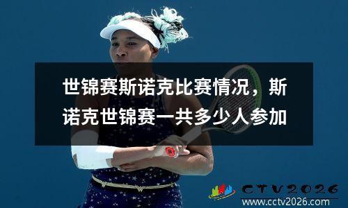世锦赛斯诺克比赛情况，斯诺克世锦赛一共多少人参加
