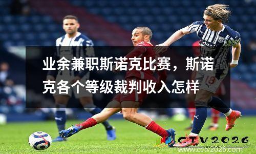 业余兼职斯诺克比赛，斯诺克各个等级裁判收入怎样